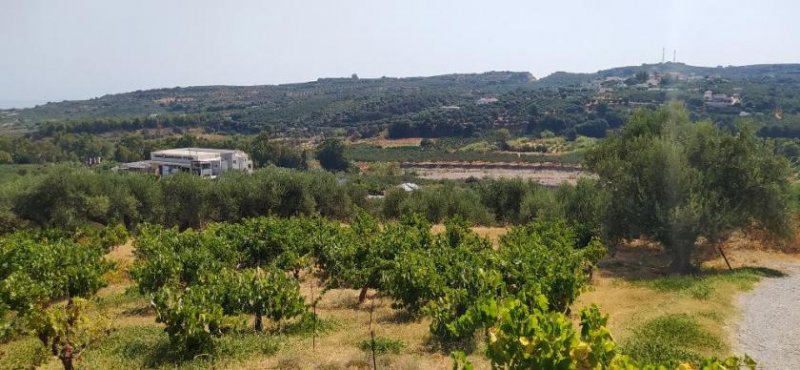 Polemarchi Kreta, Polemarchi: Grundstück in schöner Landschaft mit Meerblick zu verkaufen Grundstück kaufen